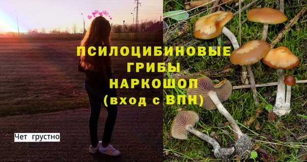 скорость Володарск