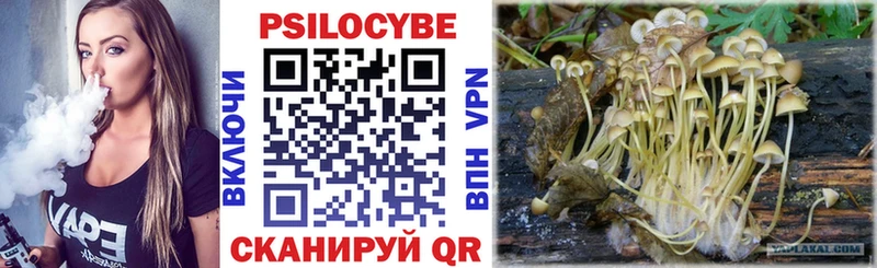 Псилоцибиновые грибы ЛСД  Новомосковск 